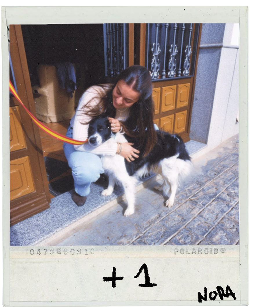 Foto 4 del RSVP